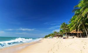 Saigon - Mui Ne (Phan Thiet) ONE WAY 4 SEATER CAR